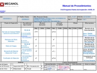 Programa puntos de Inspección